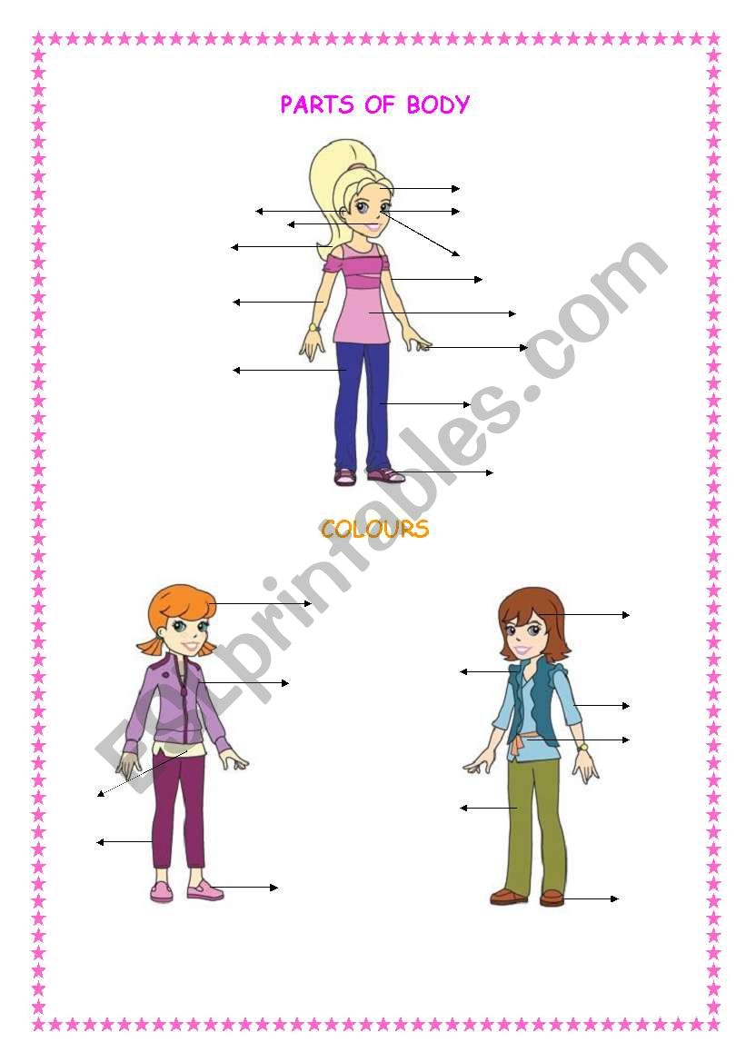 BODY and COLOURS worksheet