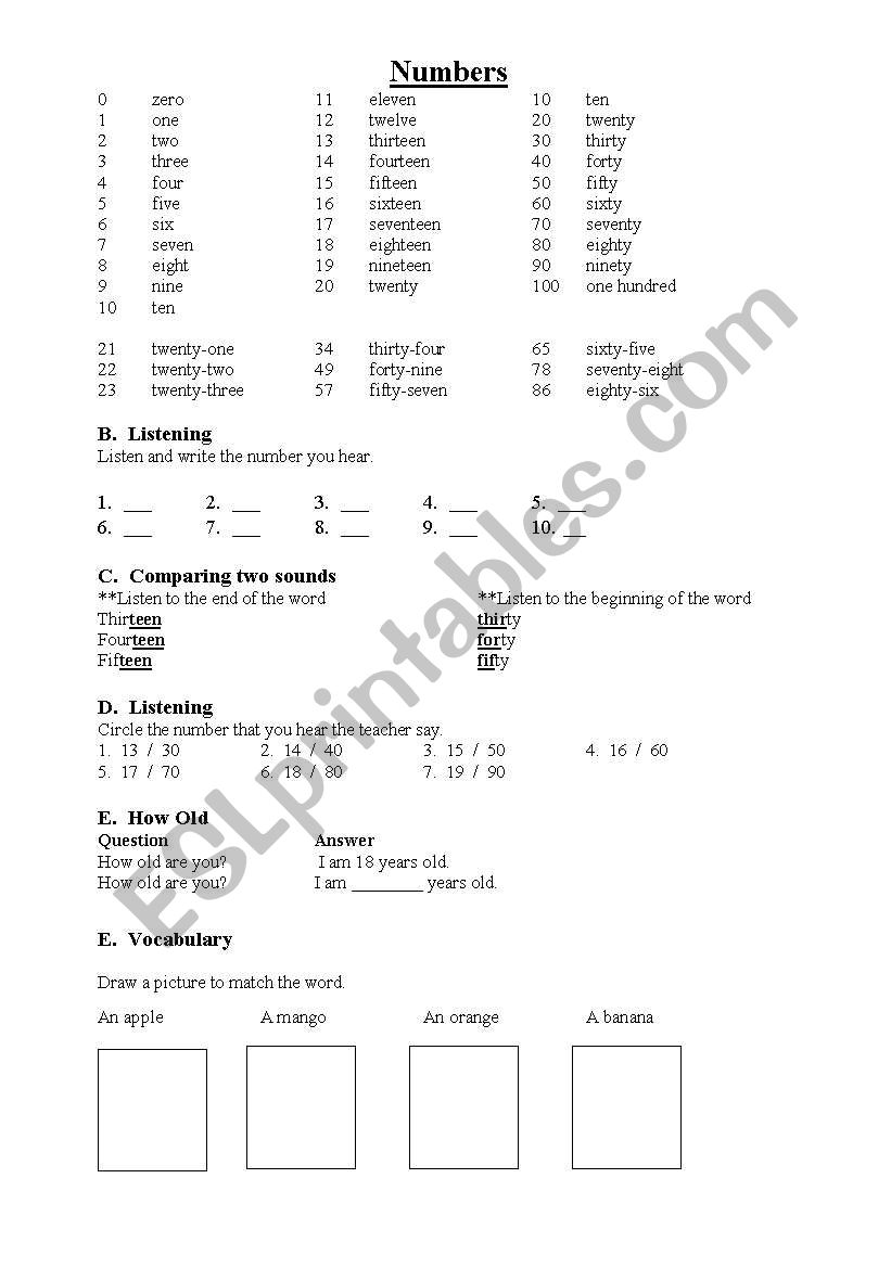 Numbers worksheet