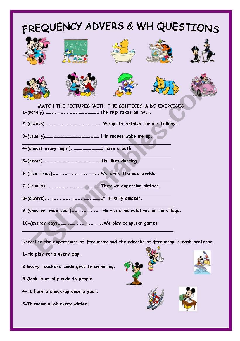 frequency-adverbs-and-wh-questions-esl-worksheet-by-serap289