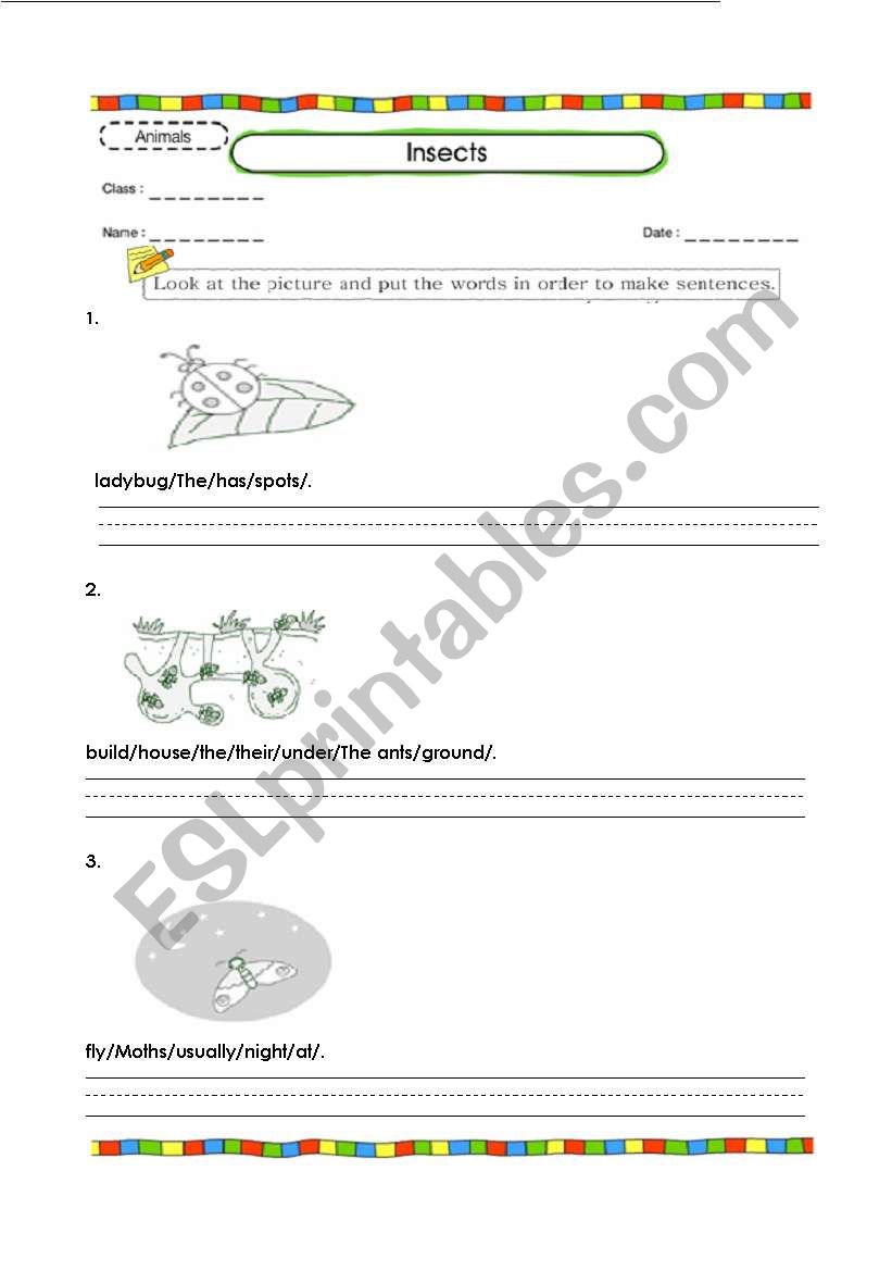 Insect worksheet