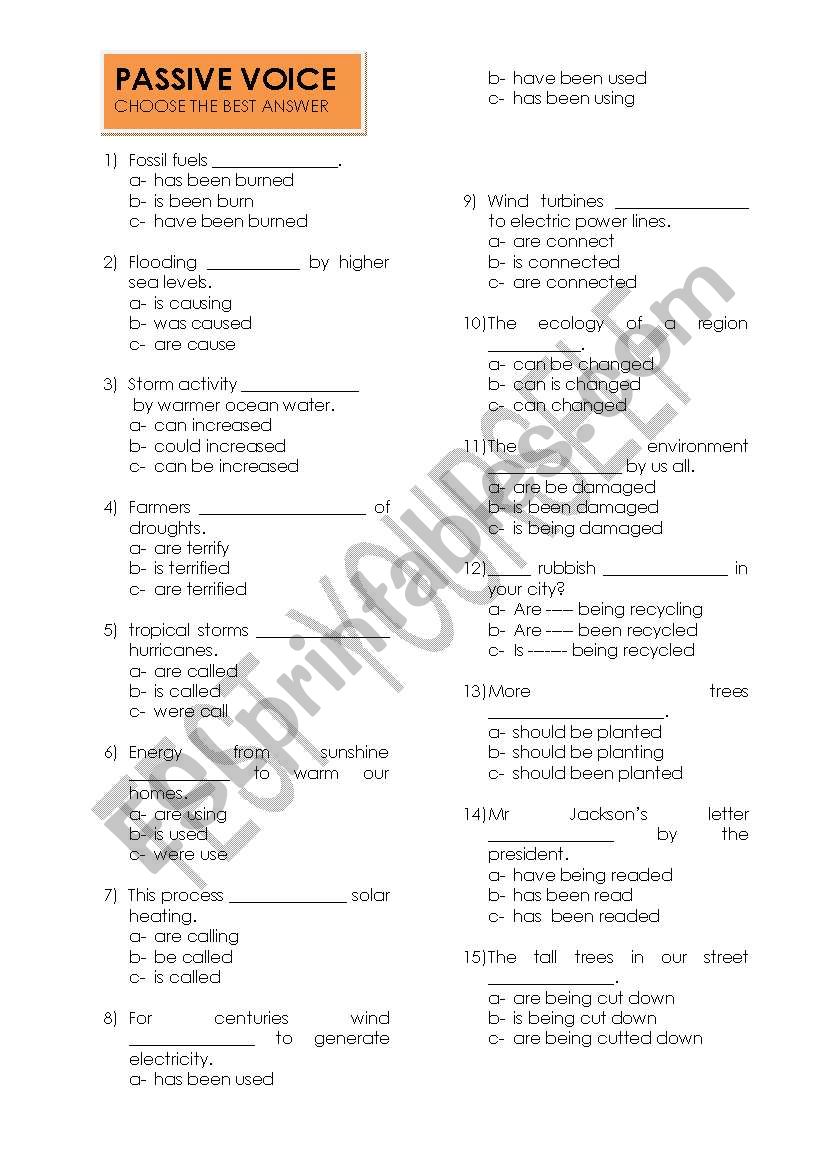 5min self-check worksheet : Passive Voice 