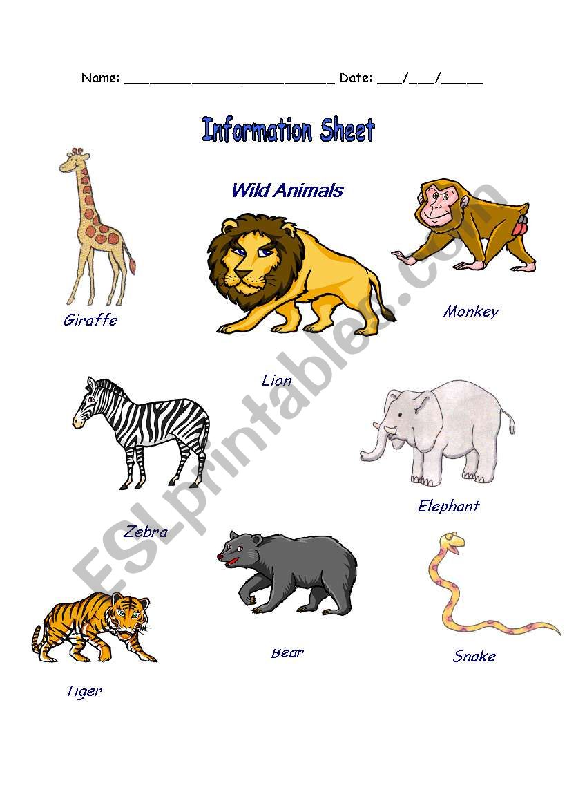 wild animals vocabulary worksheet