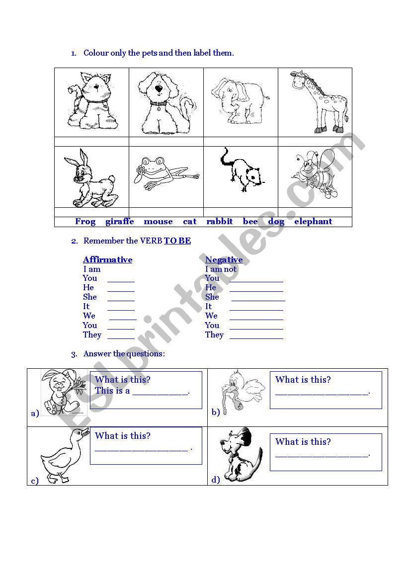PETS AND VERB TO BE worksheet