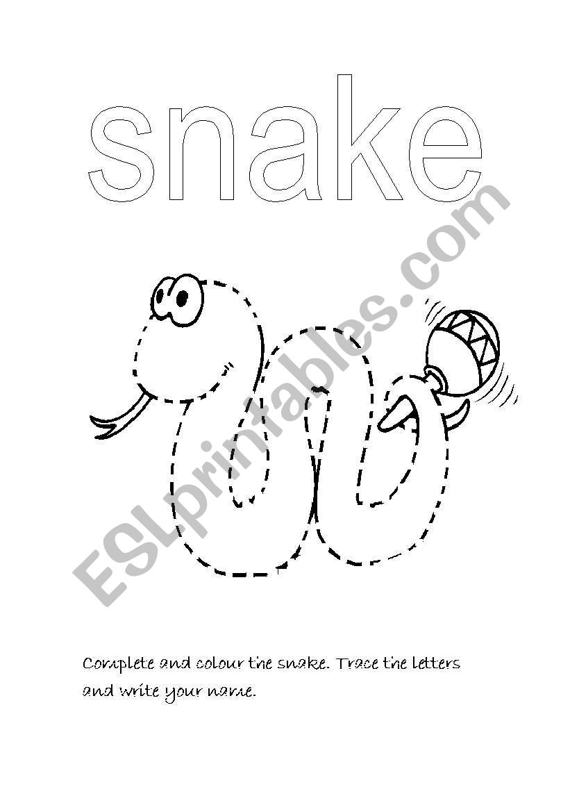 Complete the snake worksheet