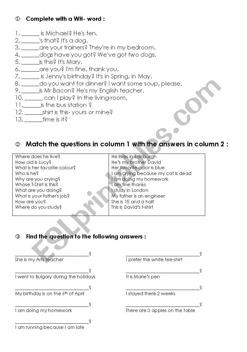 WH- Questions worksheet