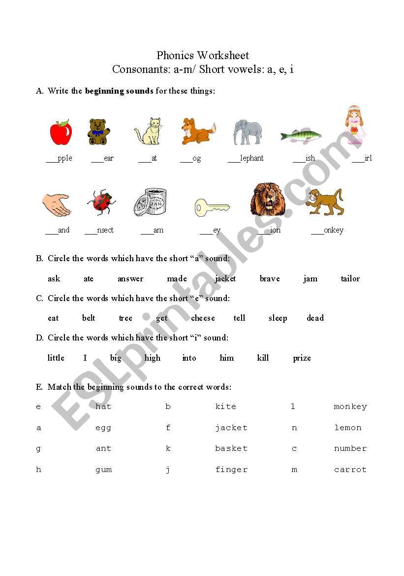 Phonics Quiz worksheet