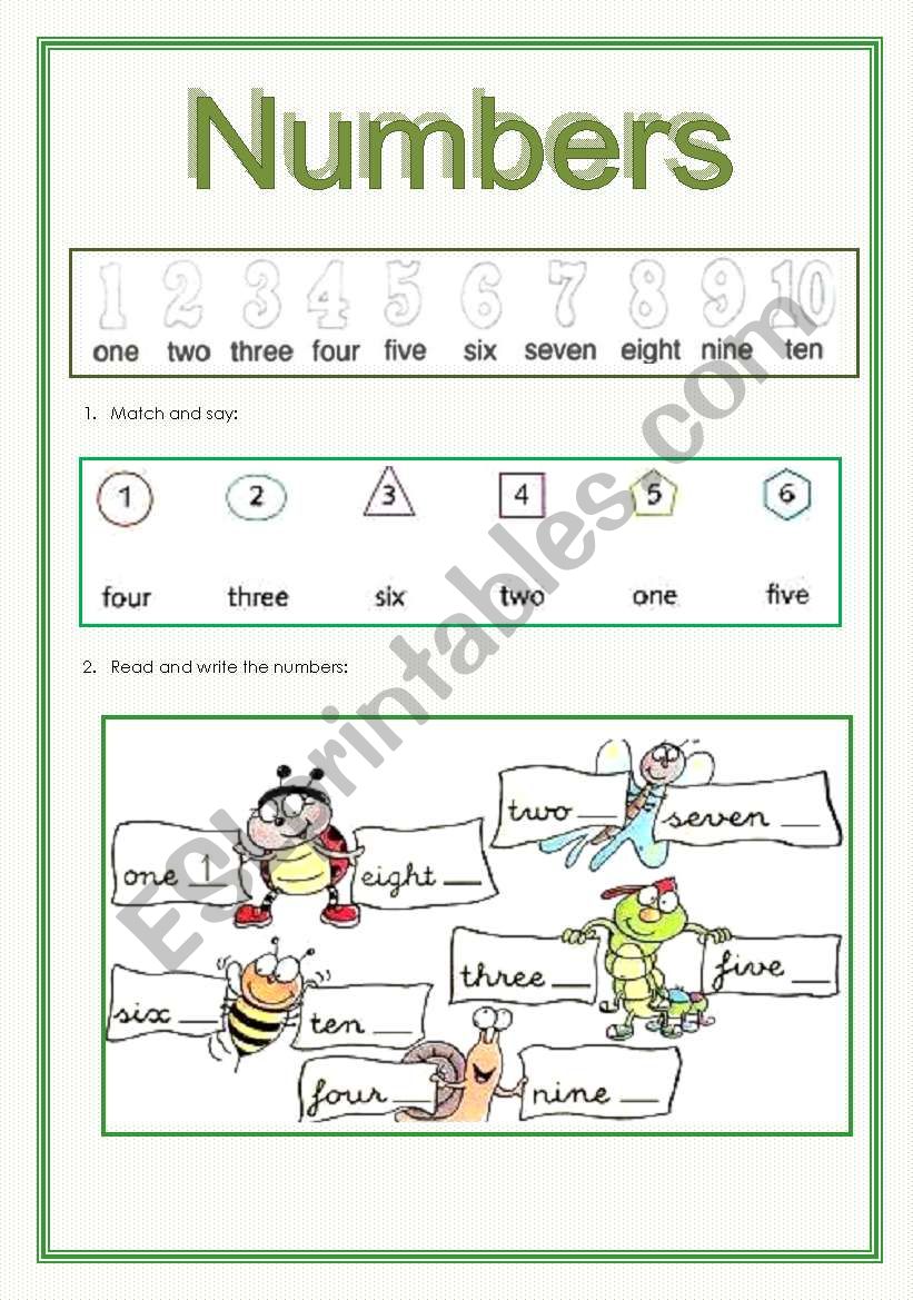 Numbers worksheet