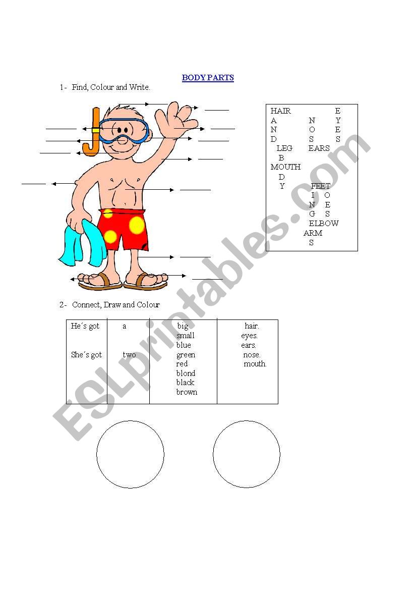 BODY PARTS worksheet