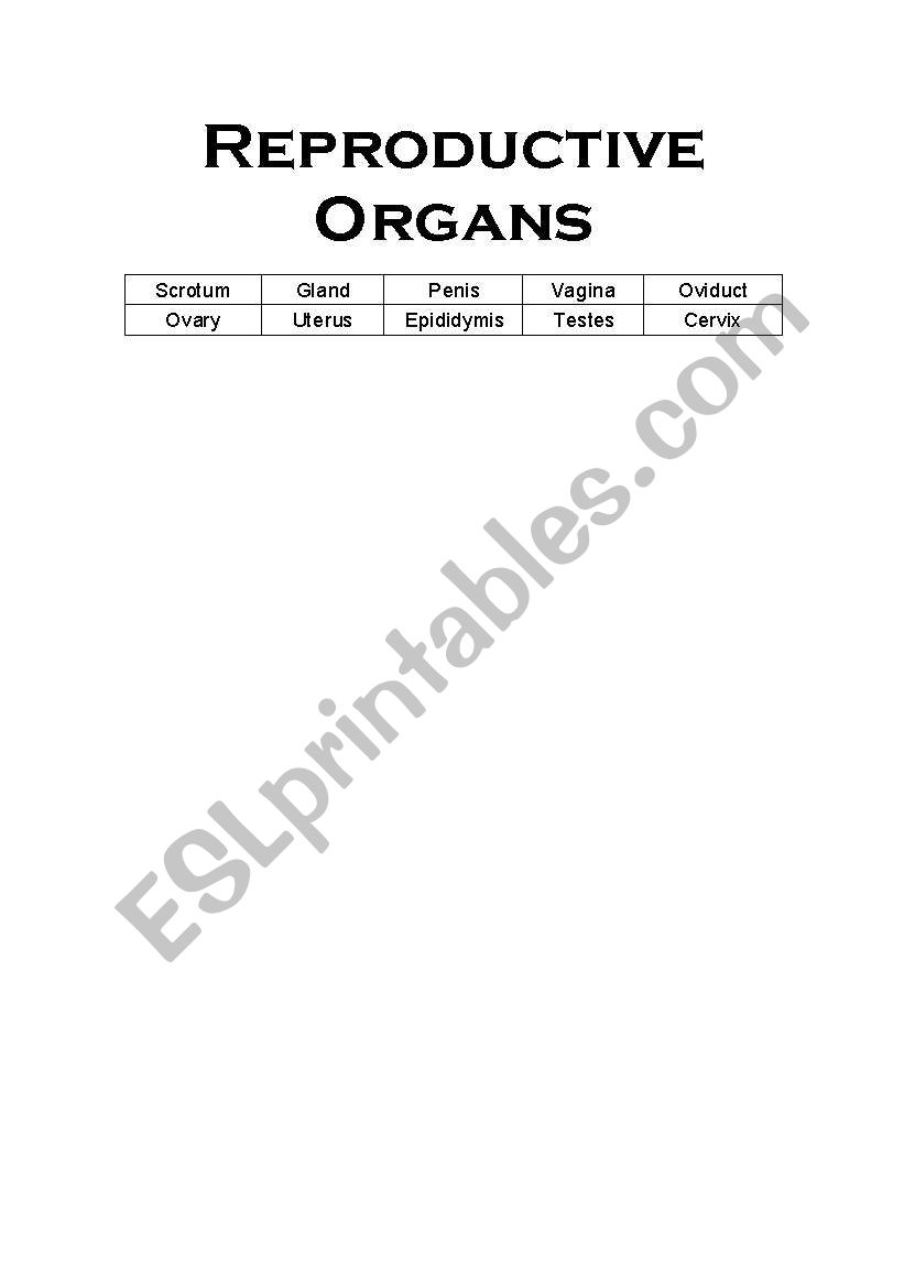 Reproductive Organs worksheet