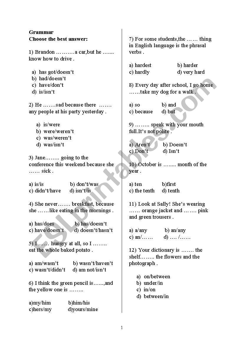 revision  test on grammar worksheet