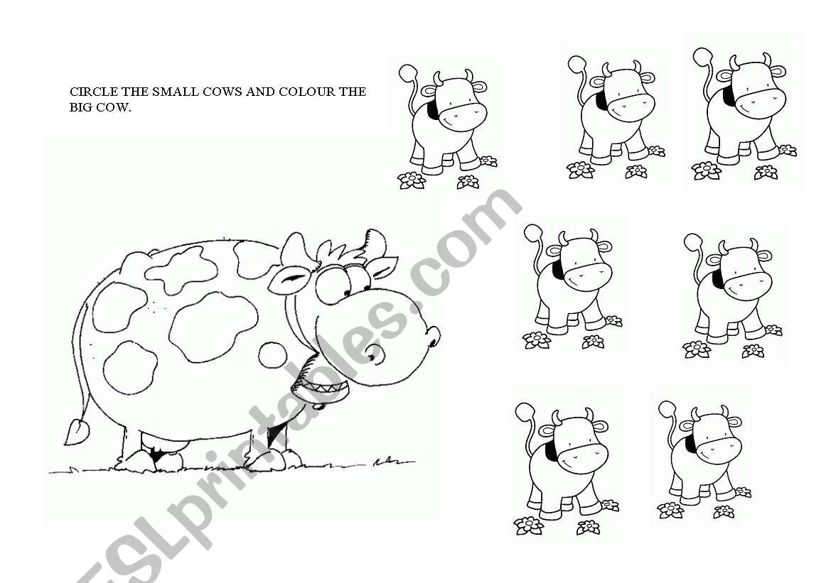 Big and Small cows worksheet