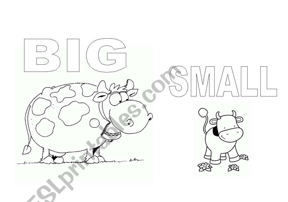 Big and Small worksheet