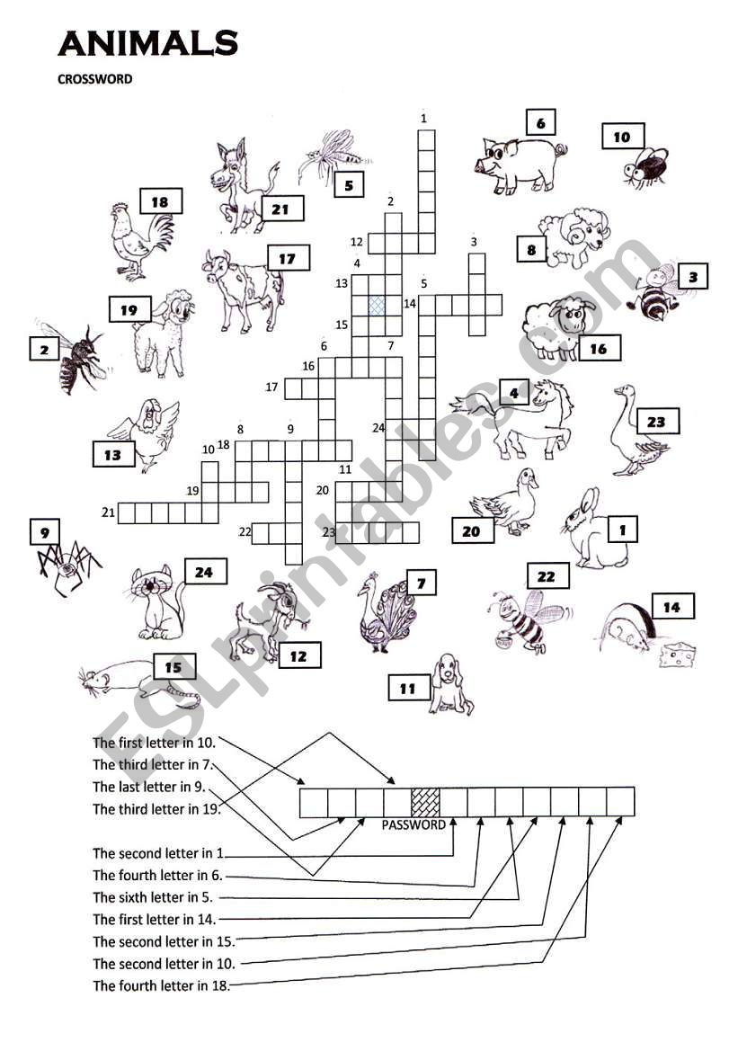 A CROSSWORD for my 1st worksheet with animals