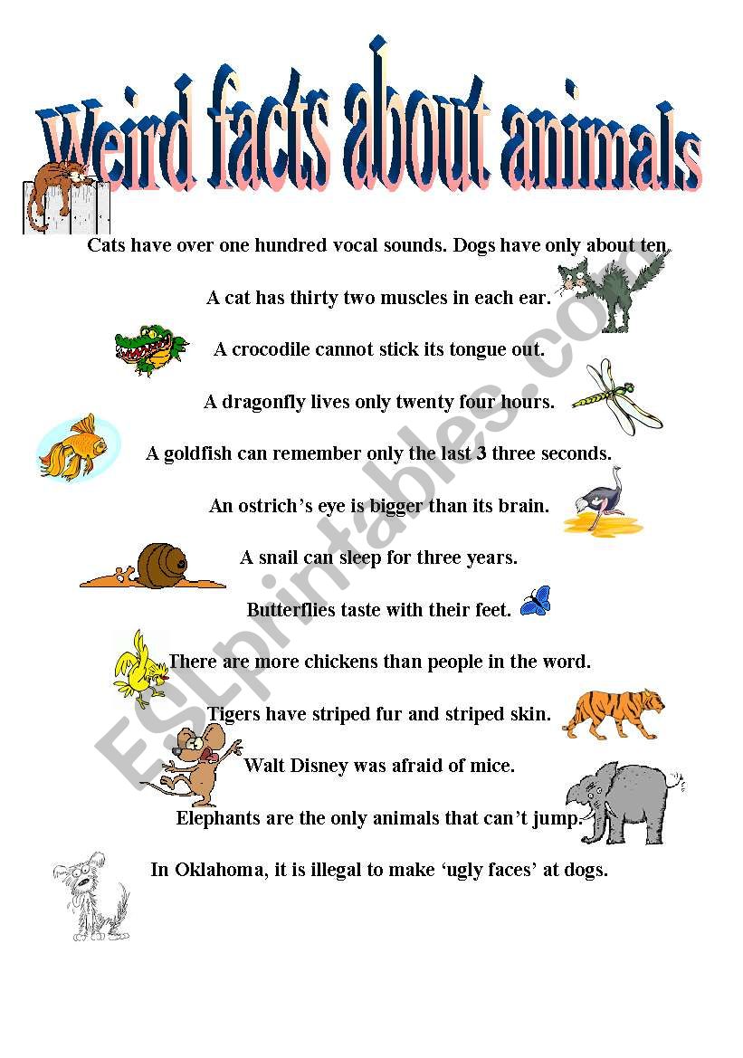 Weird Facts About Animals - ESL worksheet by Catherine Shutik
