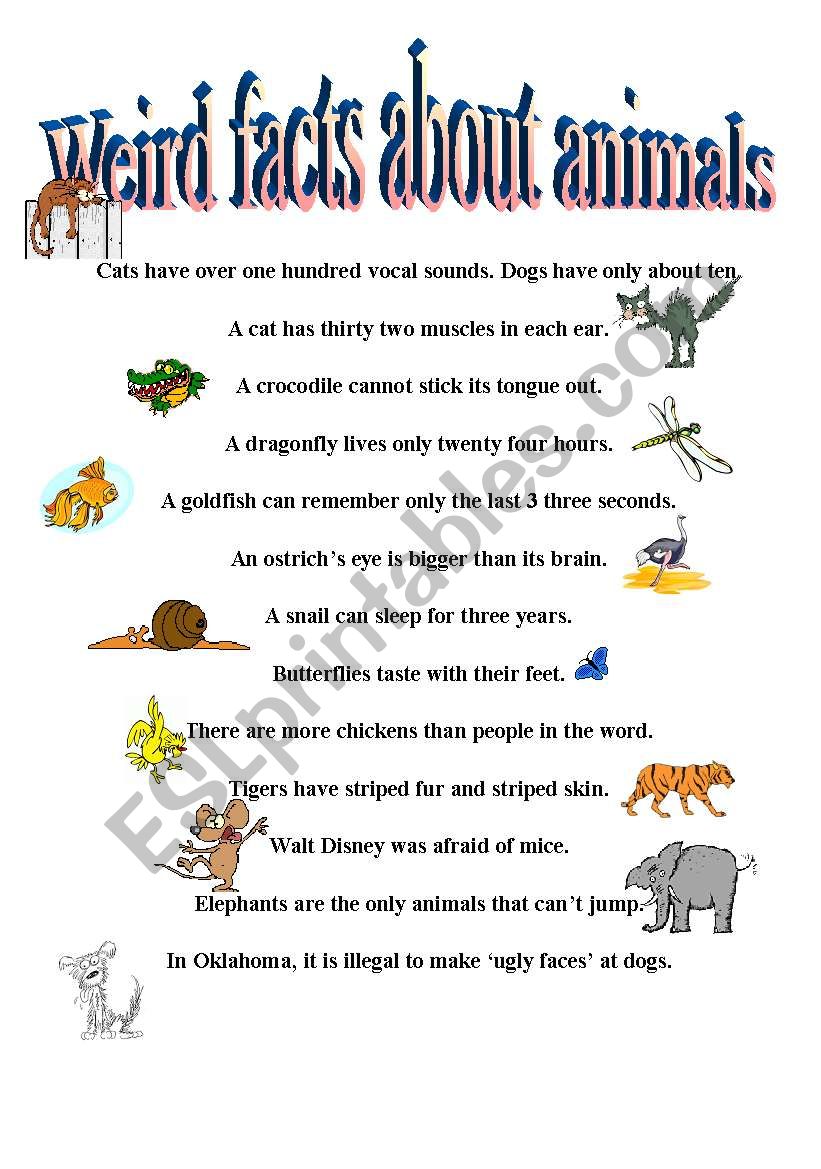 Weird Facts About Animals  worksheet