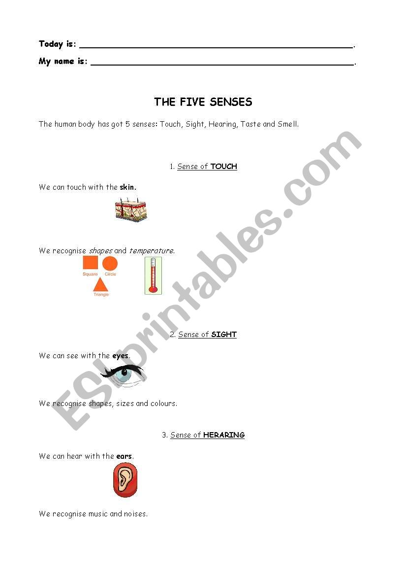 The five senses worksheet