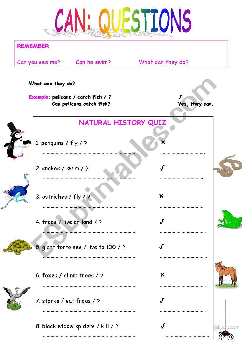 can: questions worksheet
