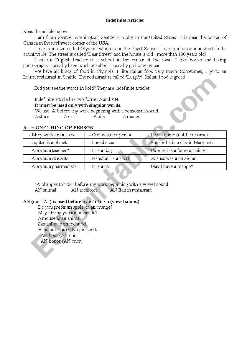 Indefinite Article worksheet