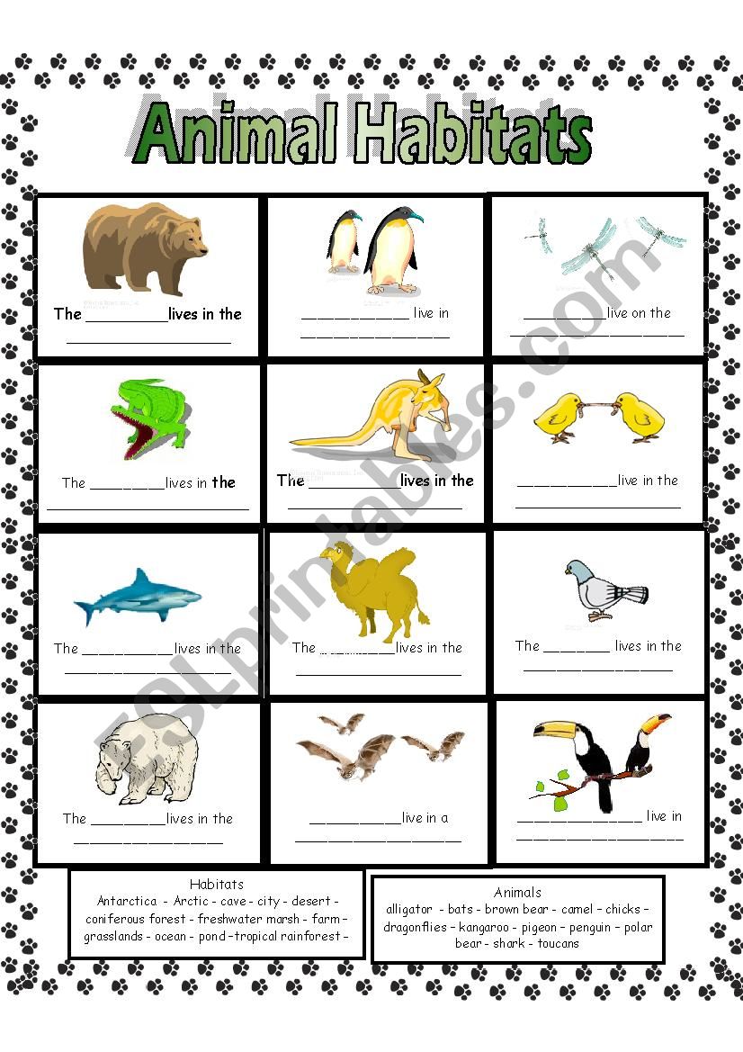 animal-and-their-habitats-worksheets