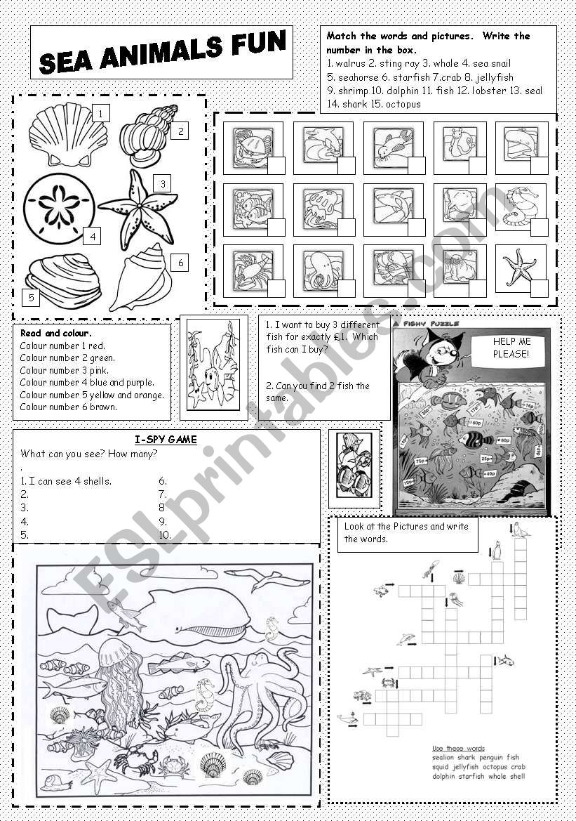 Sea Animals Fun worksheet