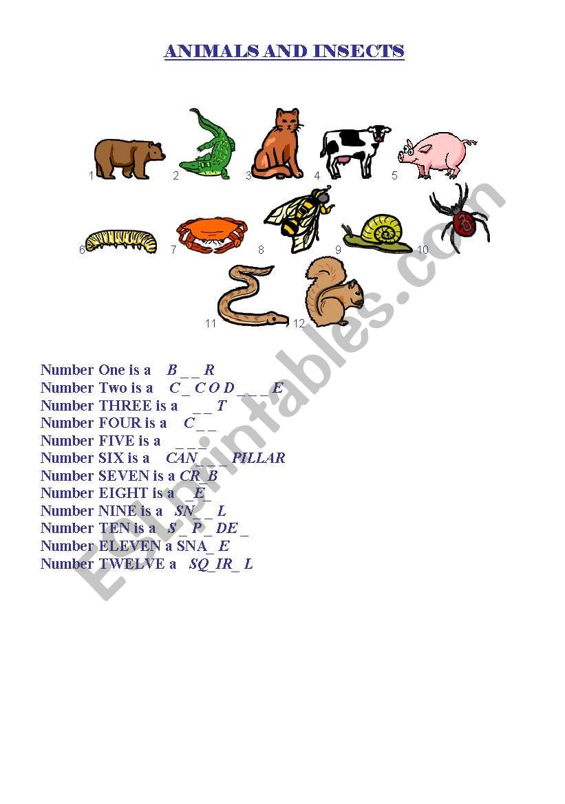 Animals and insects worksheet