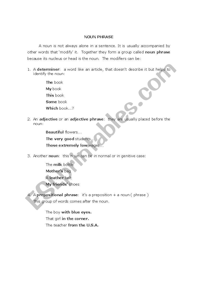 the noun worksheet