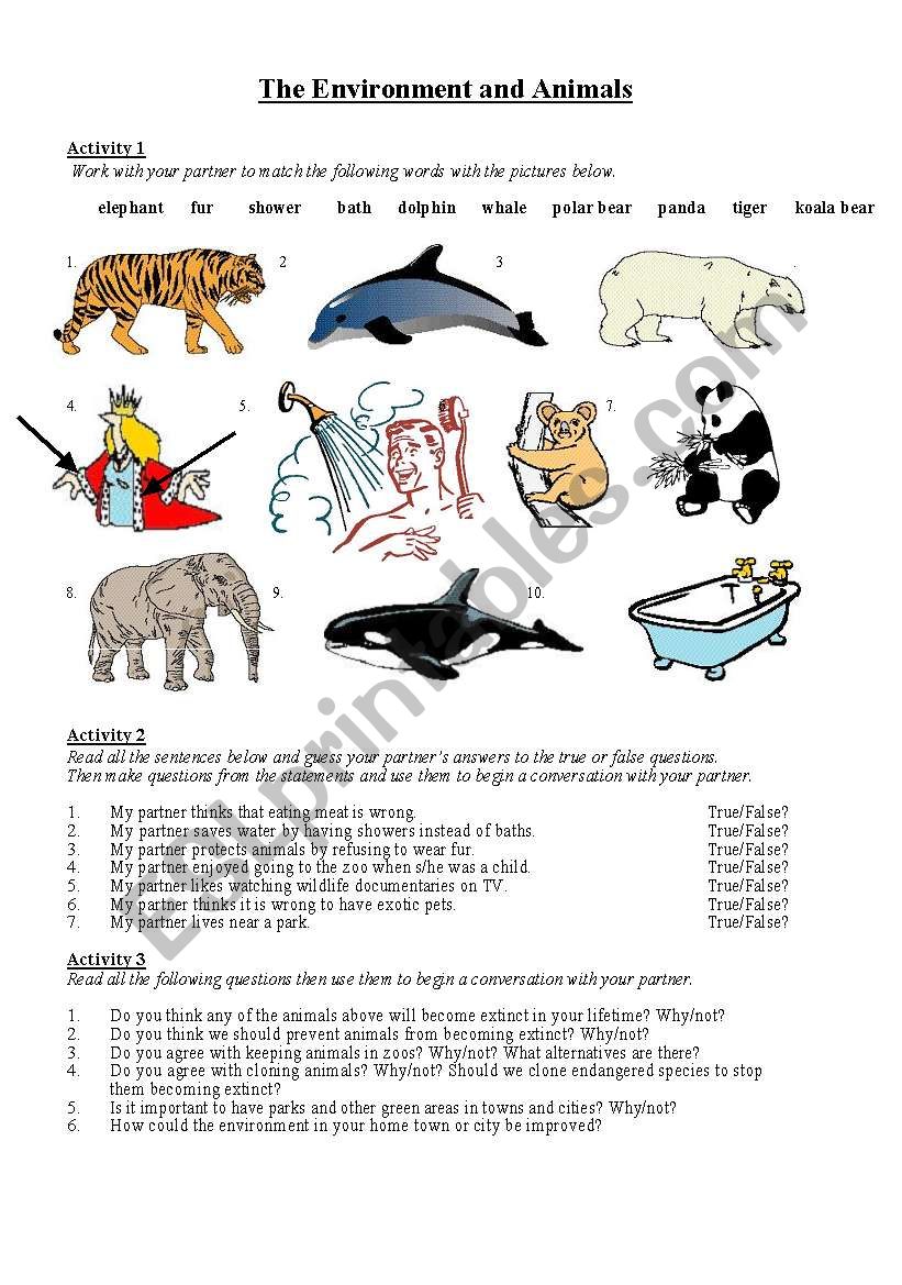 Environment and Animals worksheet