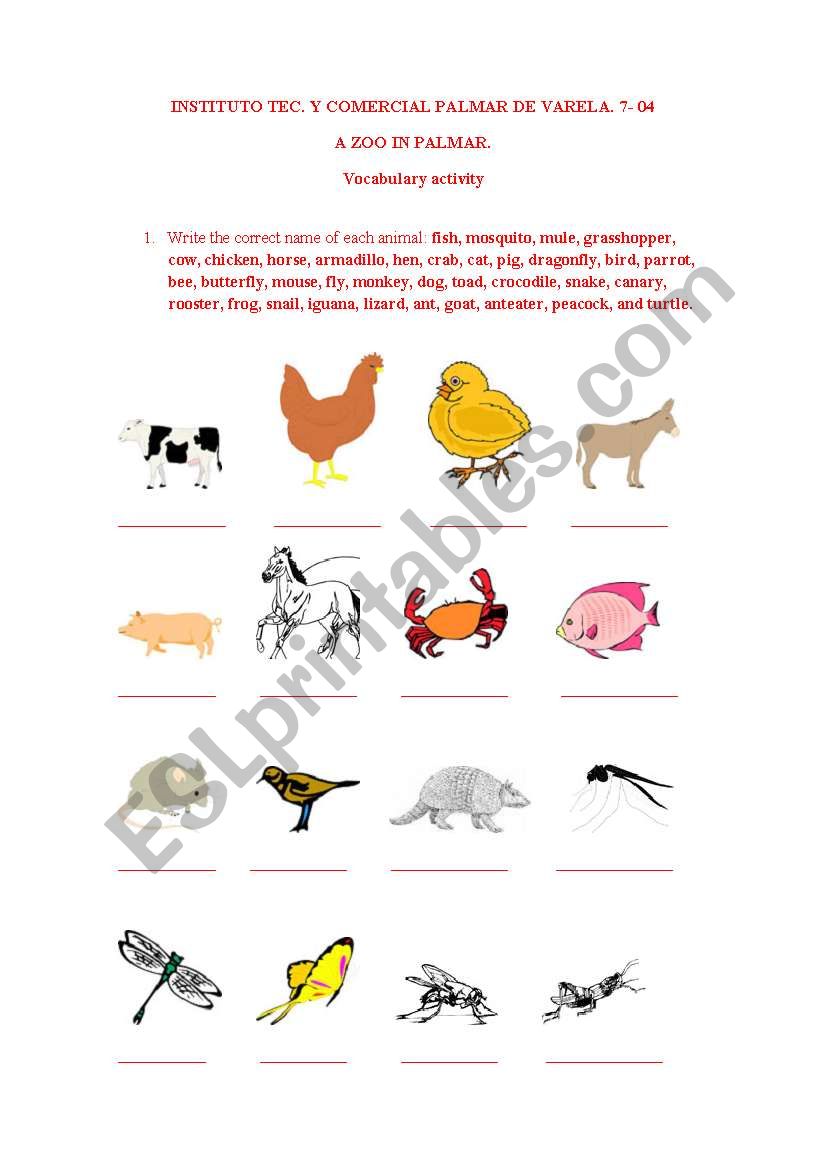 animals in context worksheet