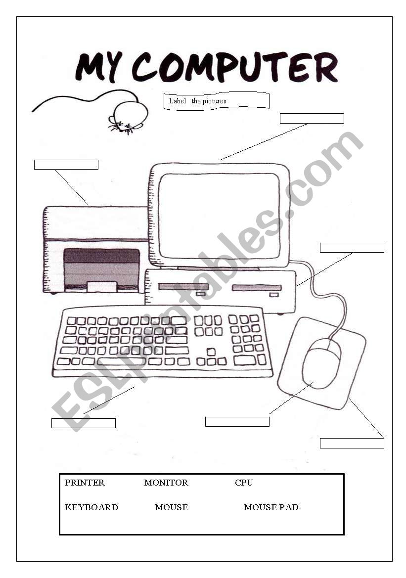 MY COMPUTER worksheet