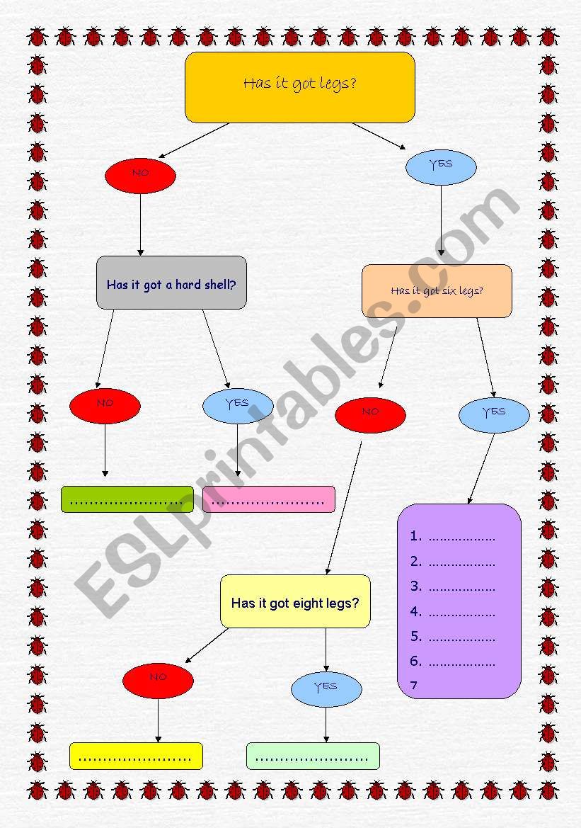 Insects worksheet