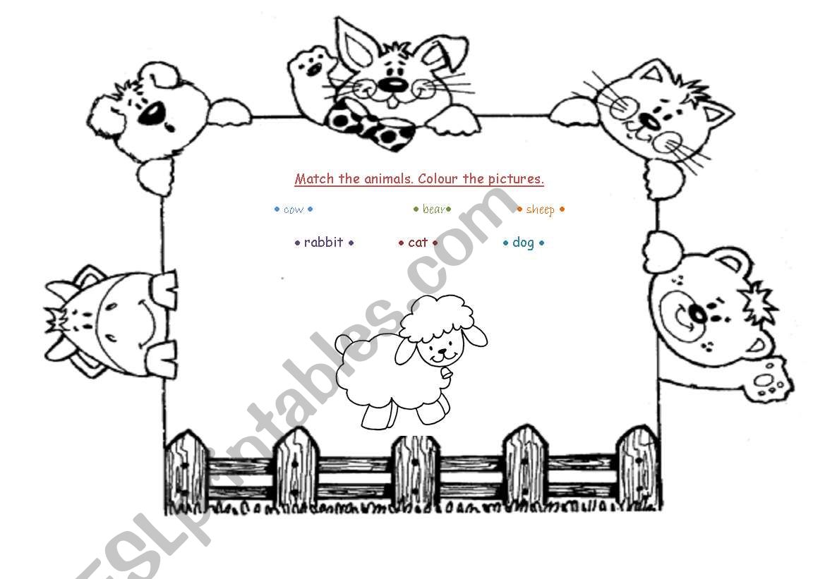 Animals worksheet