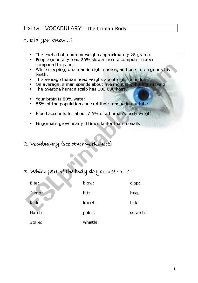 The human body worksheet