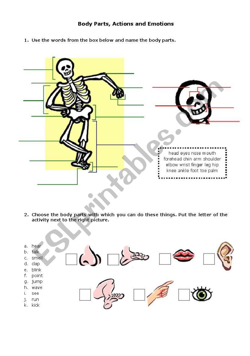 Body Parts, Actions and Emotions