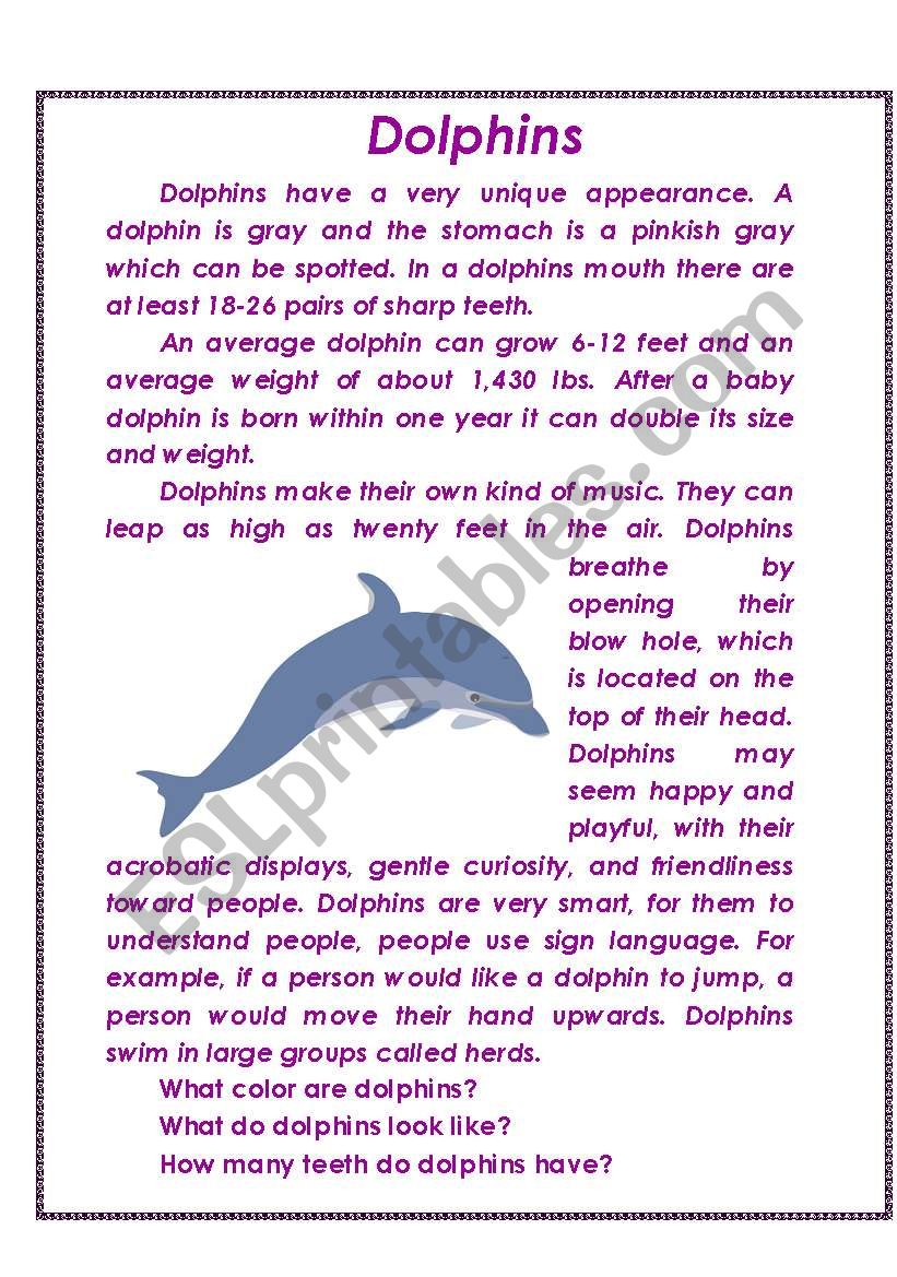 dolphins  worksheet