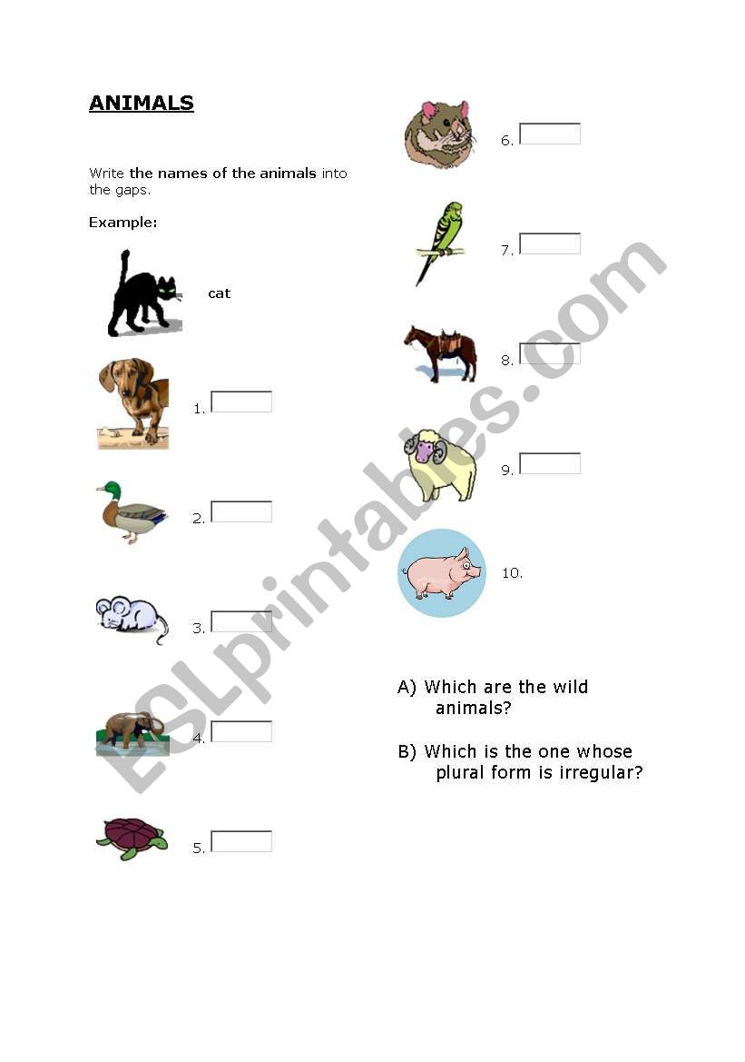 Animals worksheet