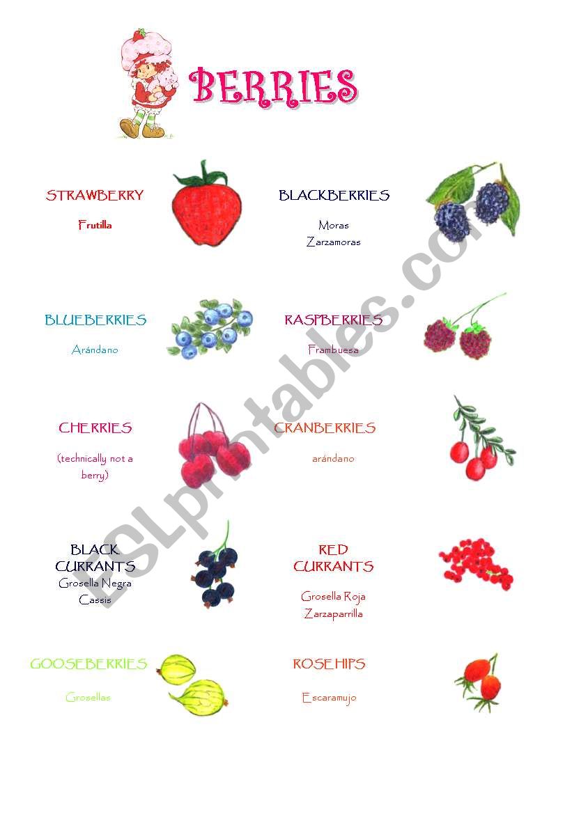 Berries - Vocabulary and crossword
