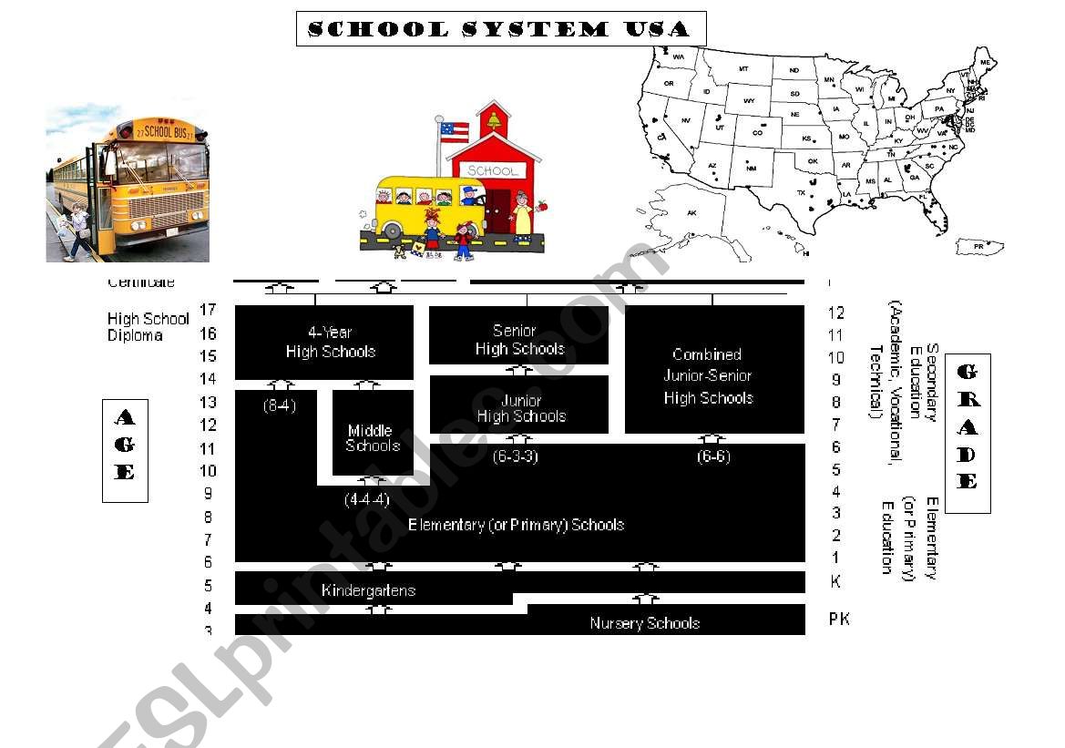 US School System worksheet