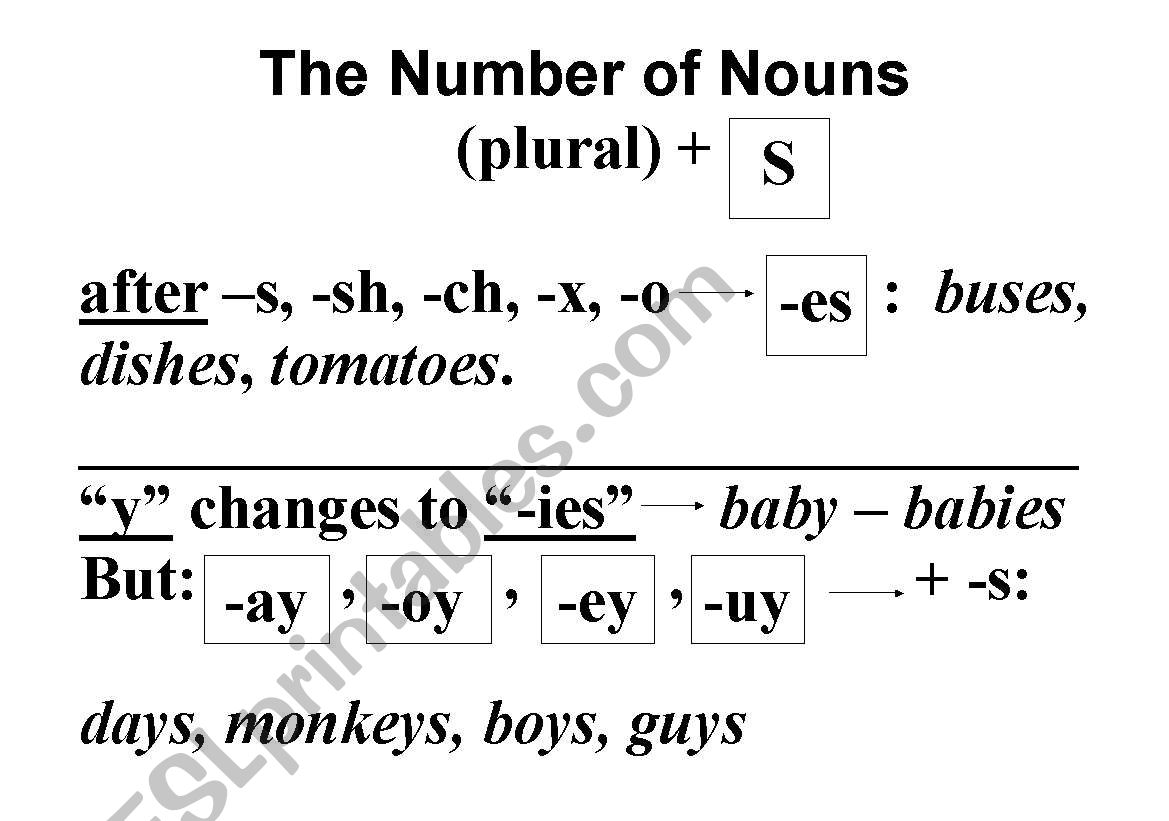 The Number of Nouns worksheet