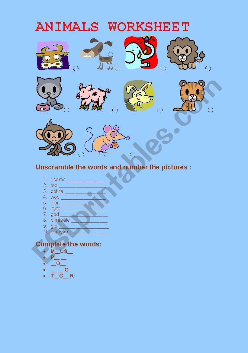 Animals worksheet worksheet