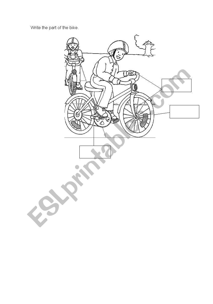 bike parts worksheet