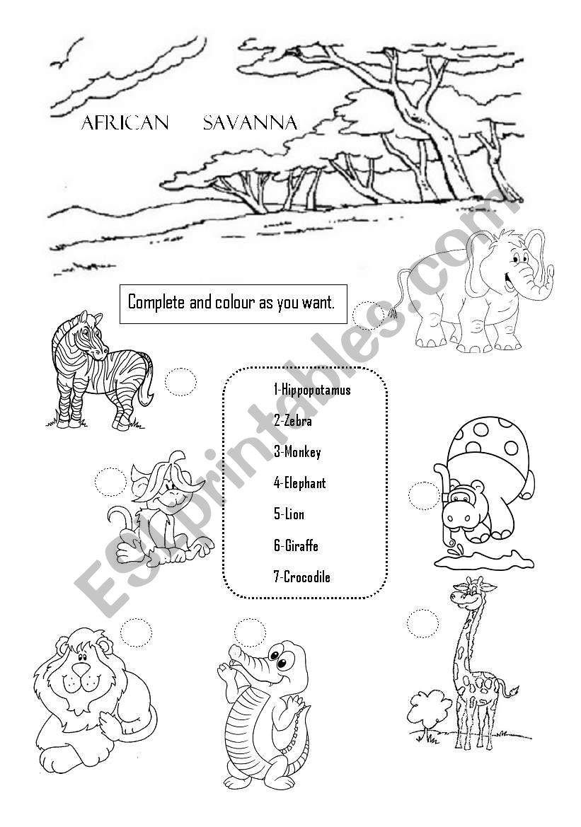 african savanna worksheet