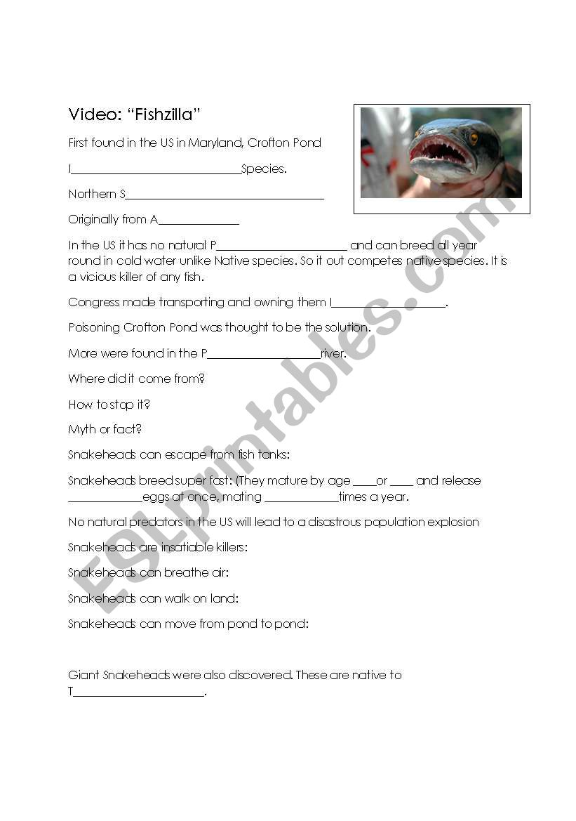 Fishzilla: Invasive Species  worksheet