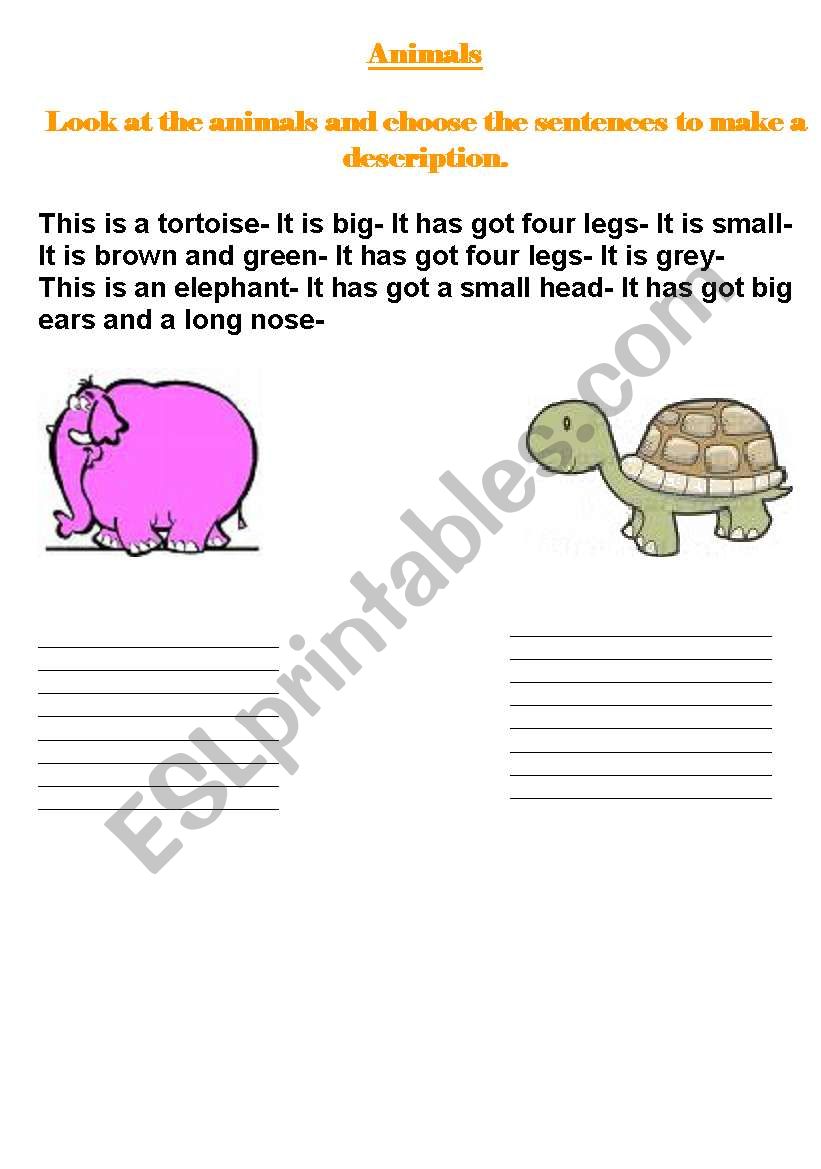 animals worksheet