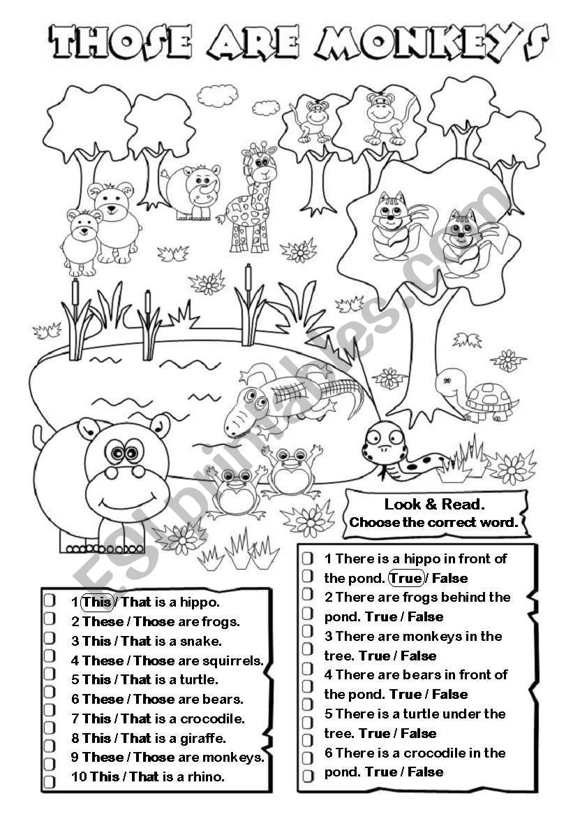 Those are monkeys worksheet