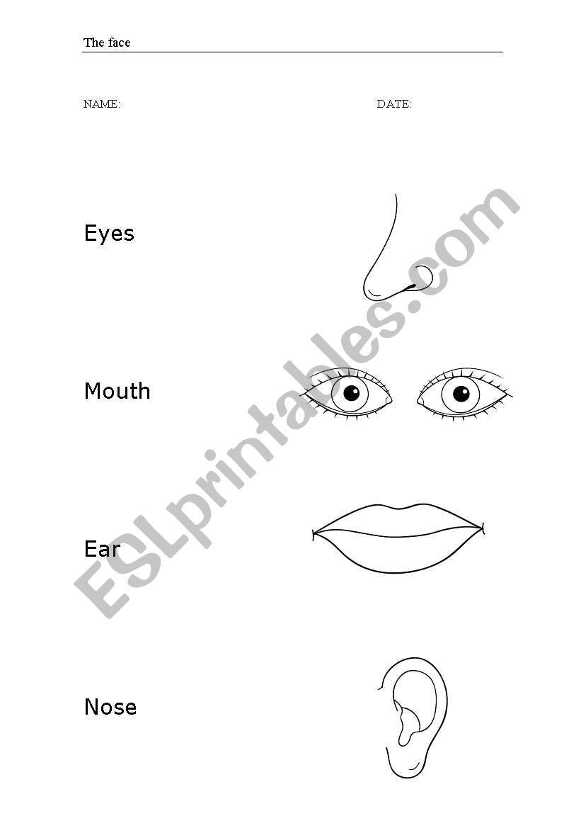 The face worksheet