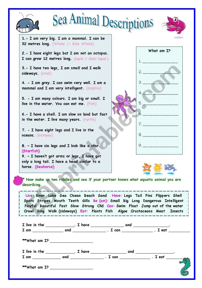 Sea Animals Description worksheet