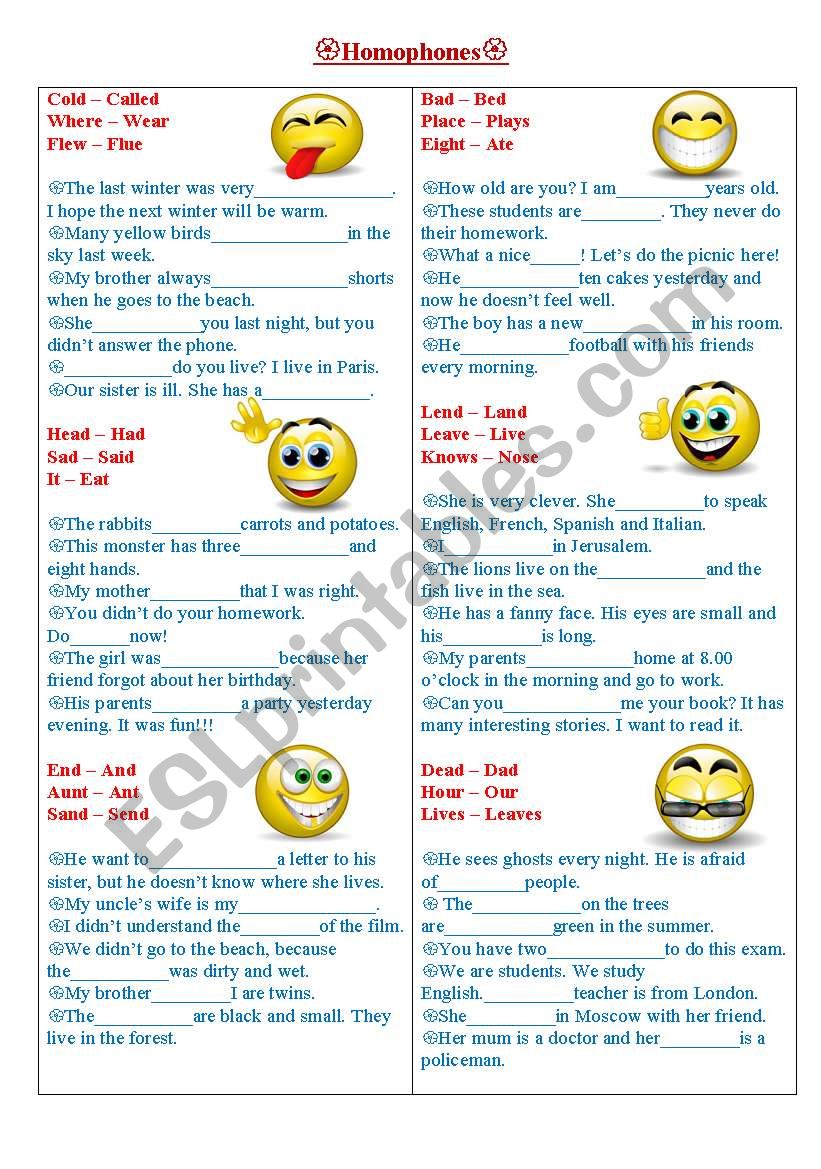 Homophones worksheet