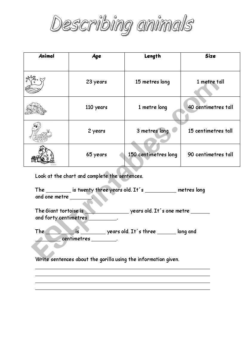 Describing animals worksheet