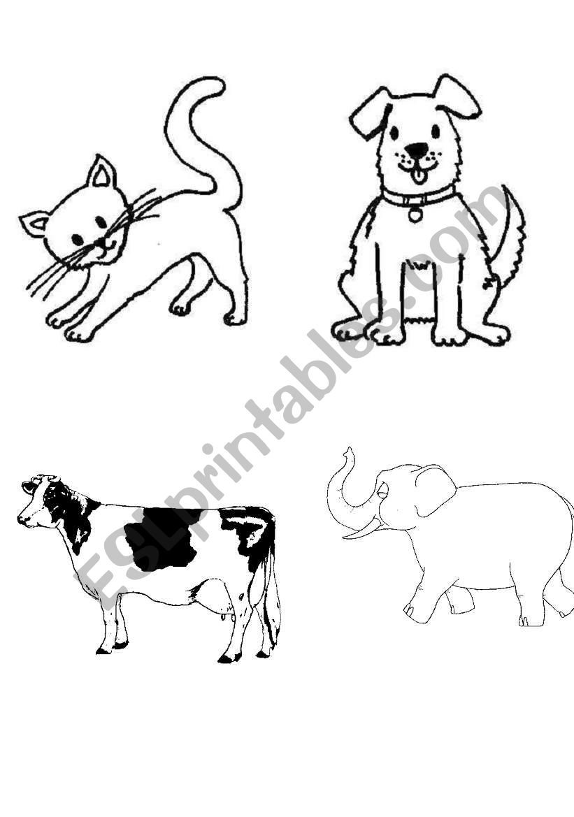animal cards worksheet