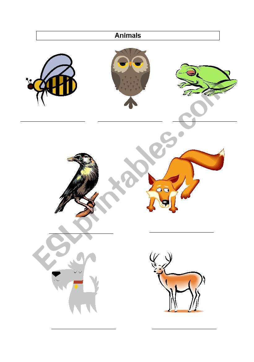 Easy Animal Spelling worksheet
